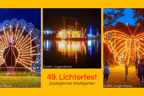 Fotos vom 49. Lichterfest