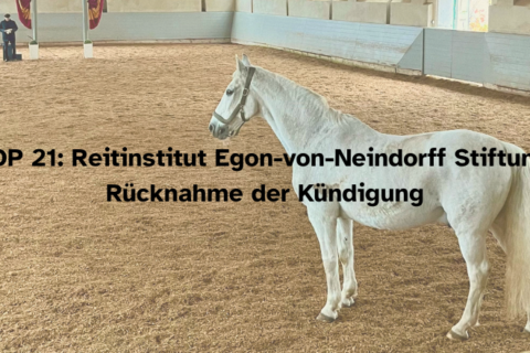 TOP 21: Reitinstitut Egon-von-Neindorff Stiftung: Rücknahme der Kündigung